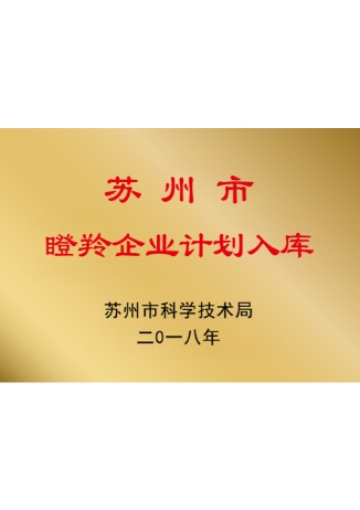 资质五